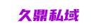 久鼎私域logo