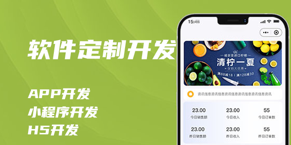 软件定制开发