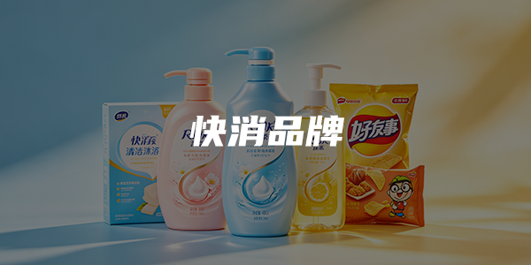 快消品牌增长方案