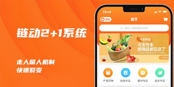 链动2+1模式系统